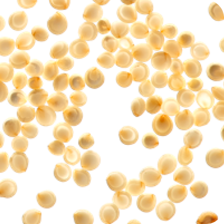 Close-up of yellow seeds on a white background