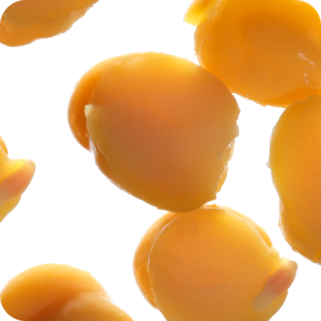 Close-up of chickpeas on a white background